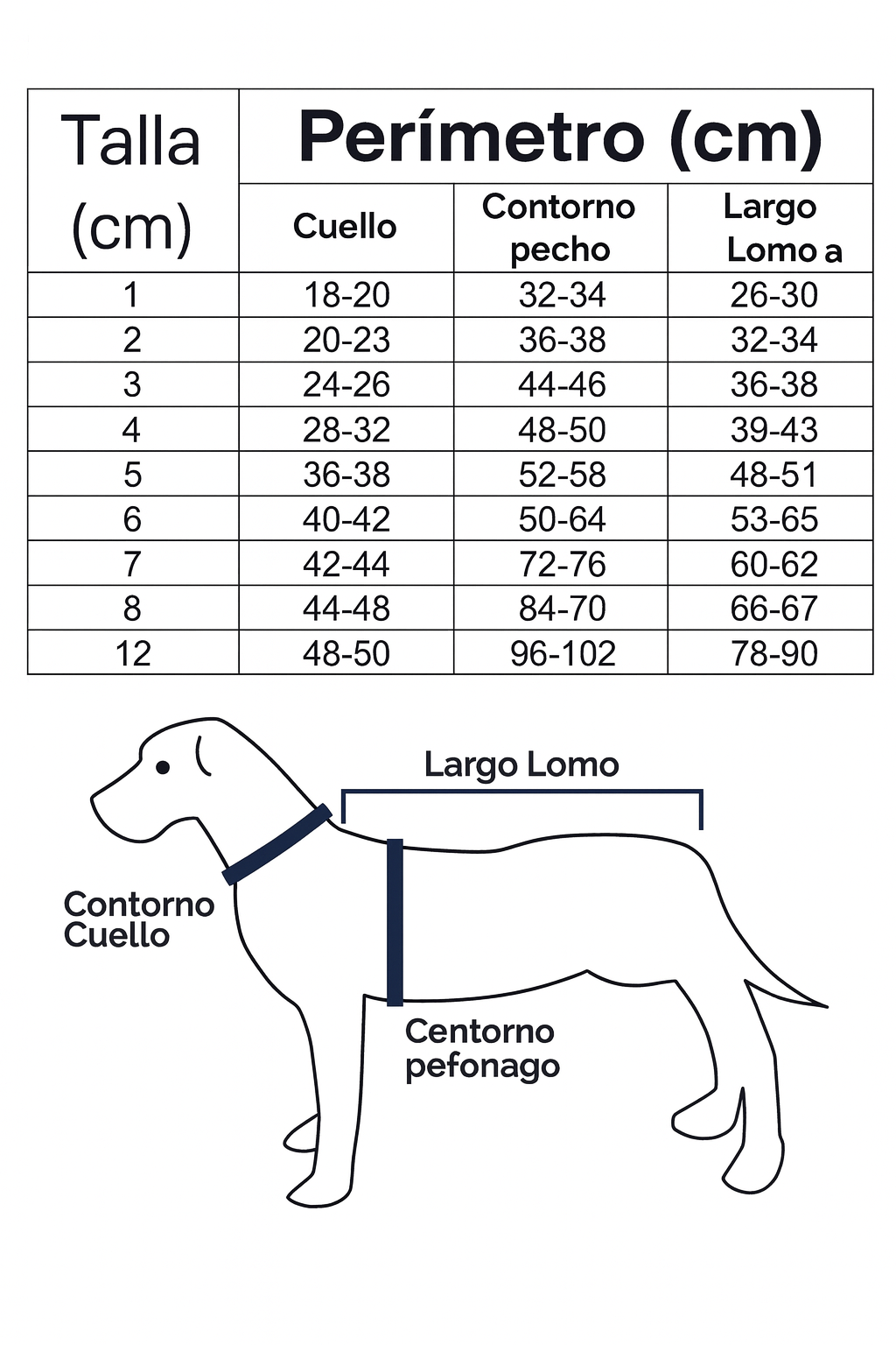 Ropa de perro