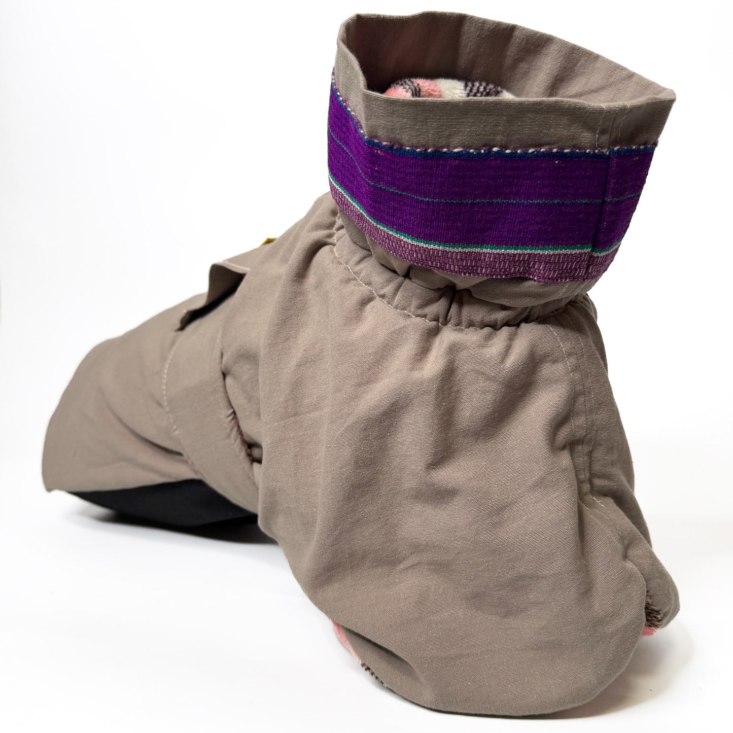 Ropa de perro