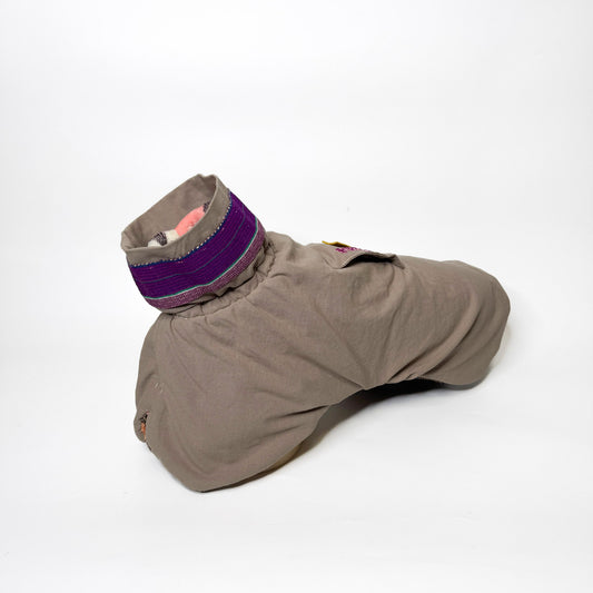 Ropa de perro